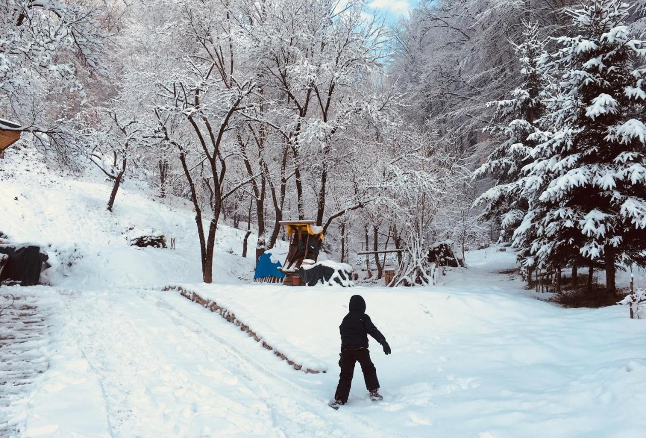 Soho Lodge Rasnov Kültér fotó