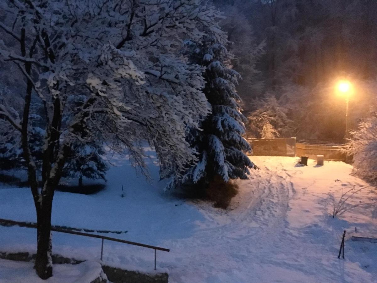 Soho Lodge Rasnov Kültér fotó