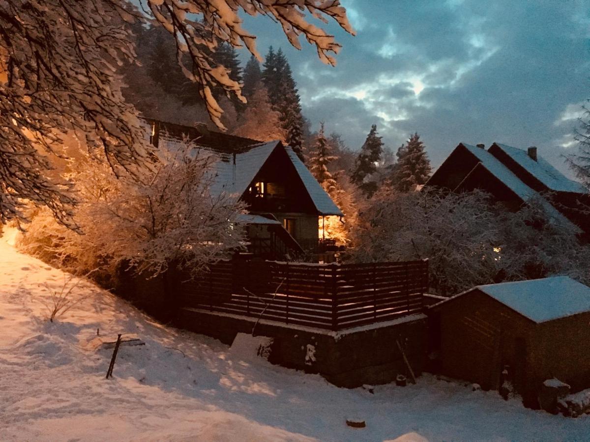 Soho Lodge Rasnov Kültér fotó