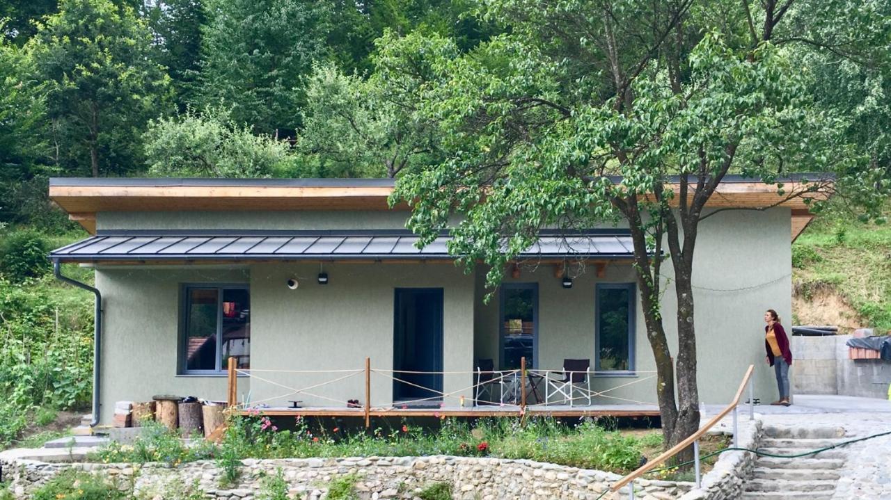 Soho Lodge Rasnov Kültér fotó