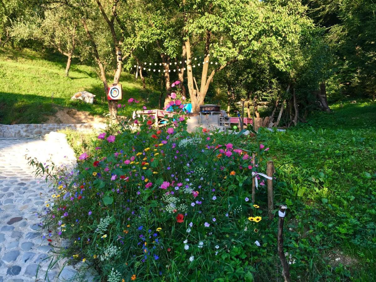 Soho Lodge Rasnov Kültér fotó
