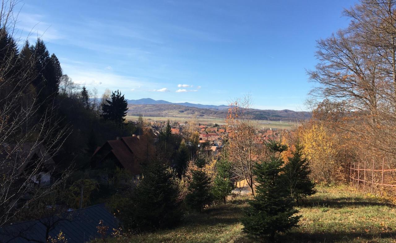 Soho Lodge Rasnov Kültér fotó