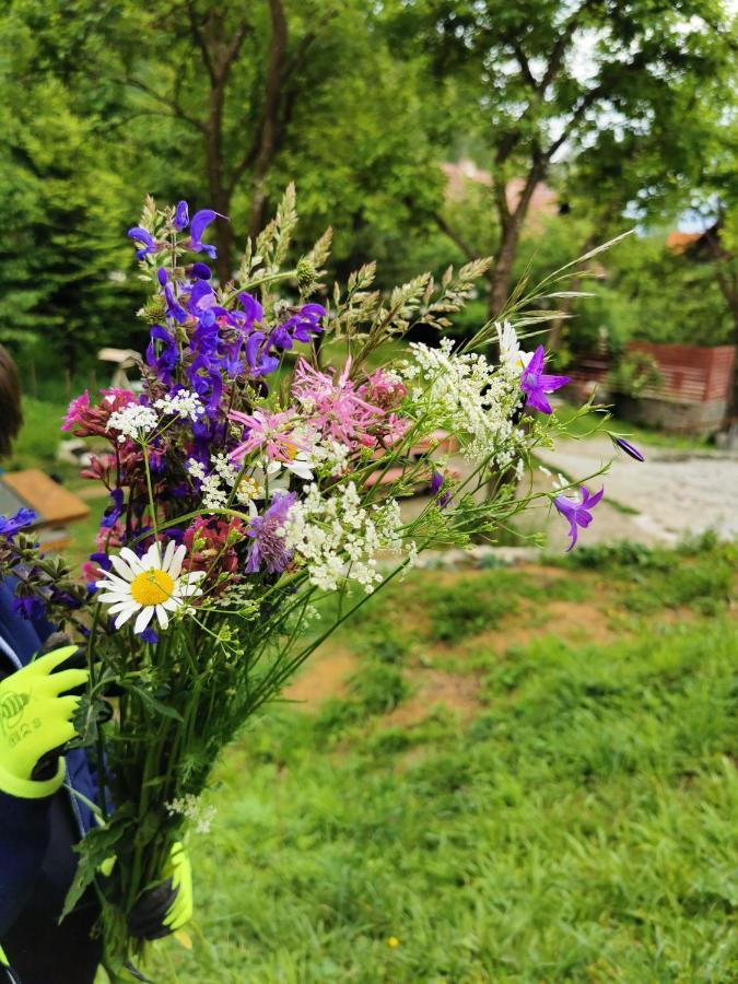 Soho Lodge Rasnov Kültér fotó