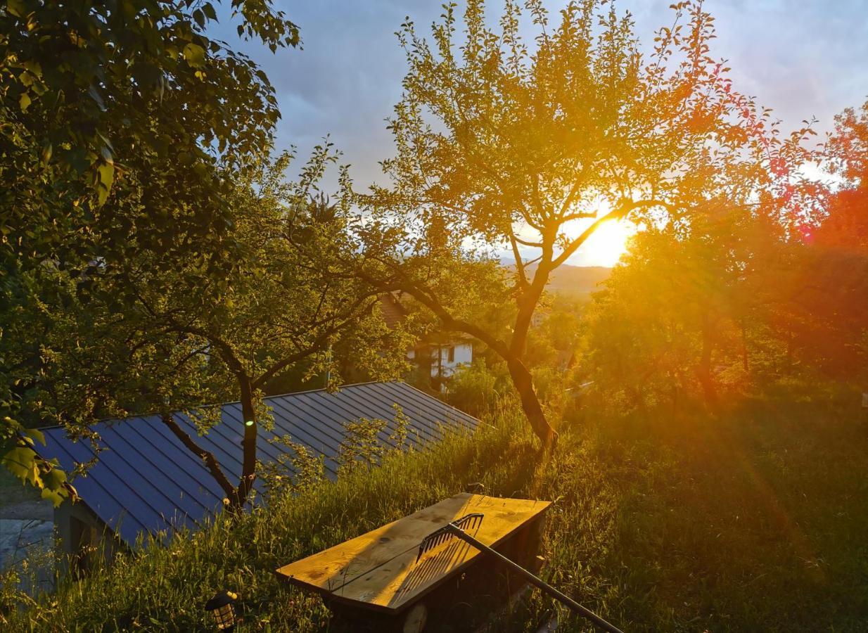 Soho Lodge Rasnov Kültér fotó