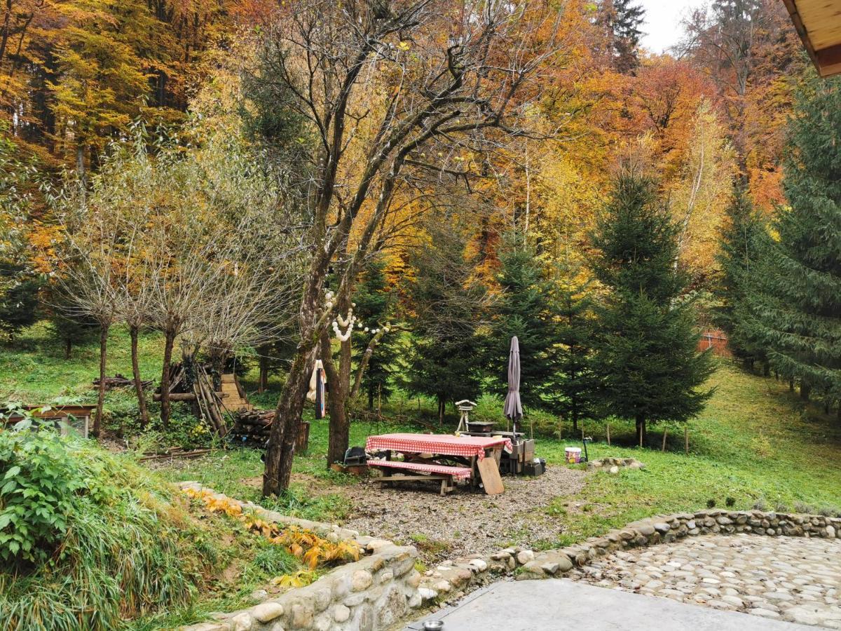 Soho Lodge Rasnov Kültér fotó