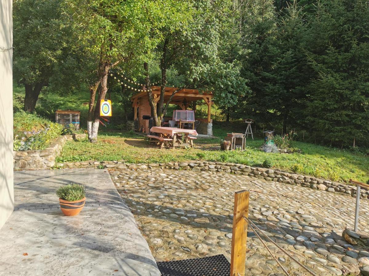 Soho Lodge Rasnov Kültér fotó