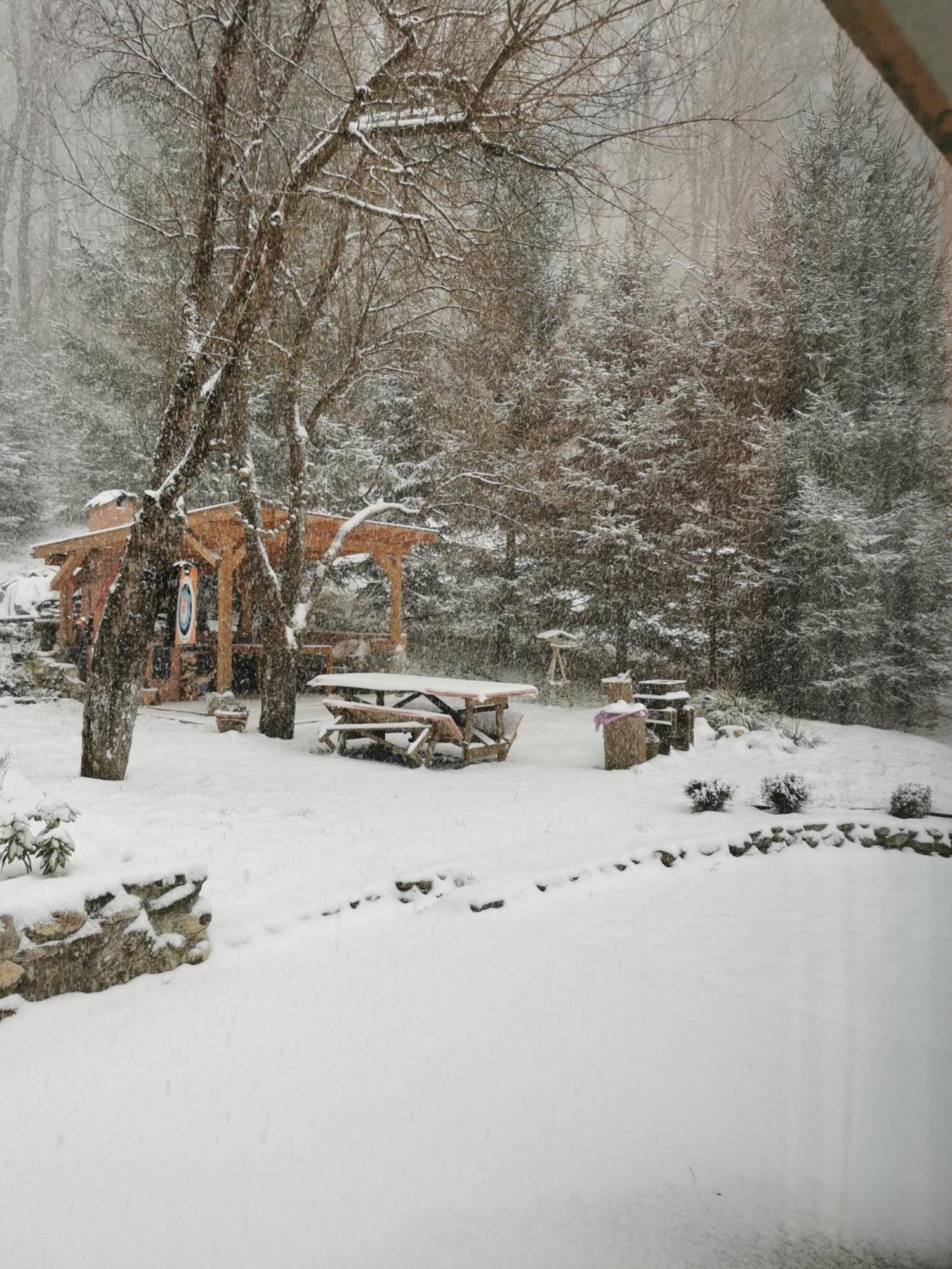 Soho Lodge Rasnov Kültér fotó